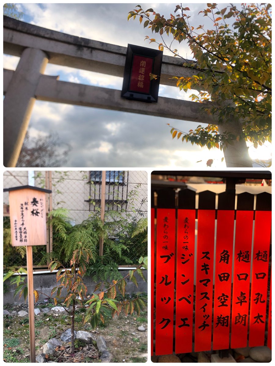 スキマスイッチ　メガデラくん 7/29AM10時まで】スキマスイッチファンクラブ限定メガデラくん