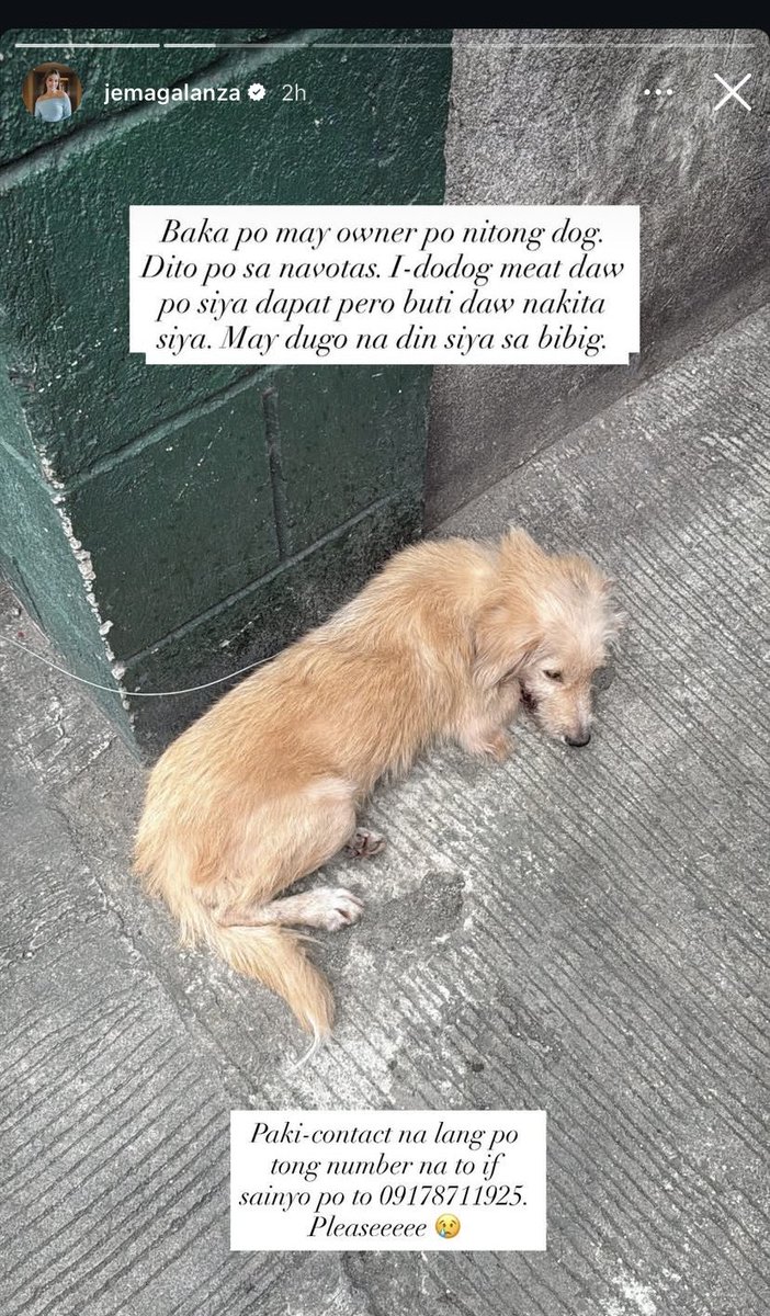 aicille73's tweet photo. Ang bilis ng action after manawagan nina Jella!!! Narescue na agad ang doggie #JemaGalanza #EllaDeJesus #CreamlineCoolSmashers #doglover #furparents https://t.co/bqbU1Cm7qY