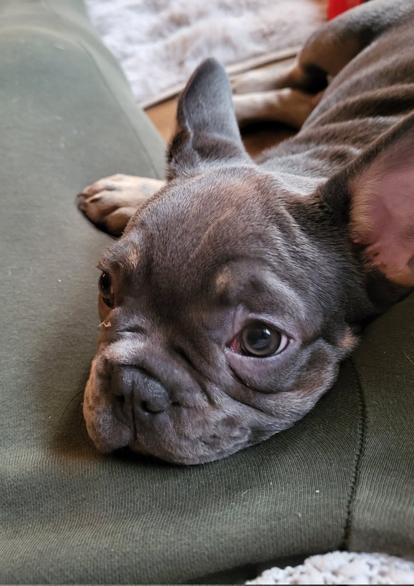 Goedemorgen.  Wij staan weer aan! Fijne zondag😘