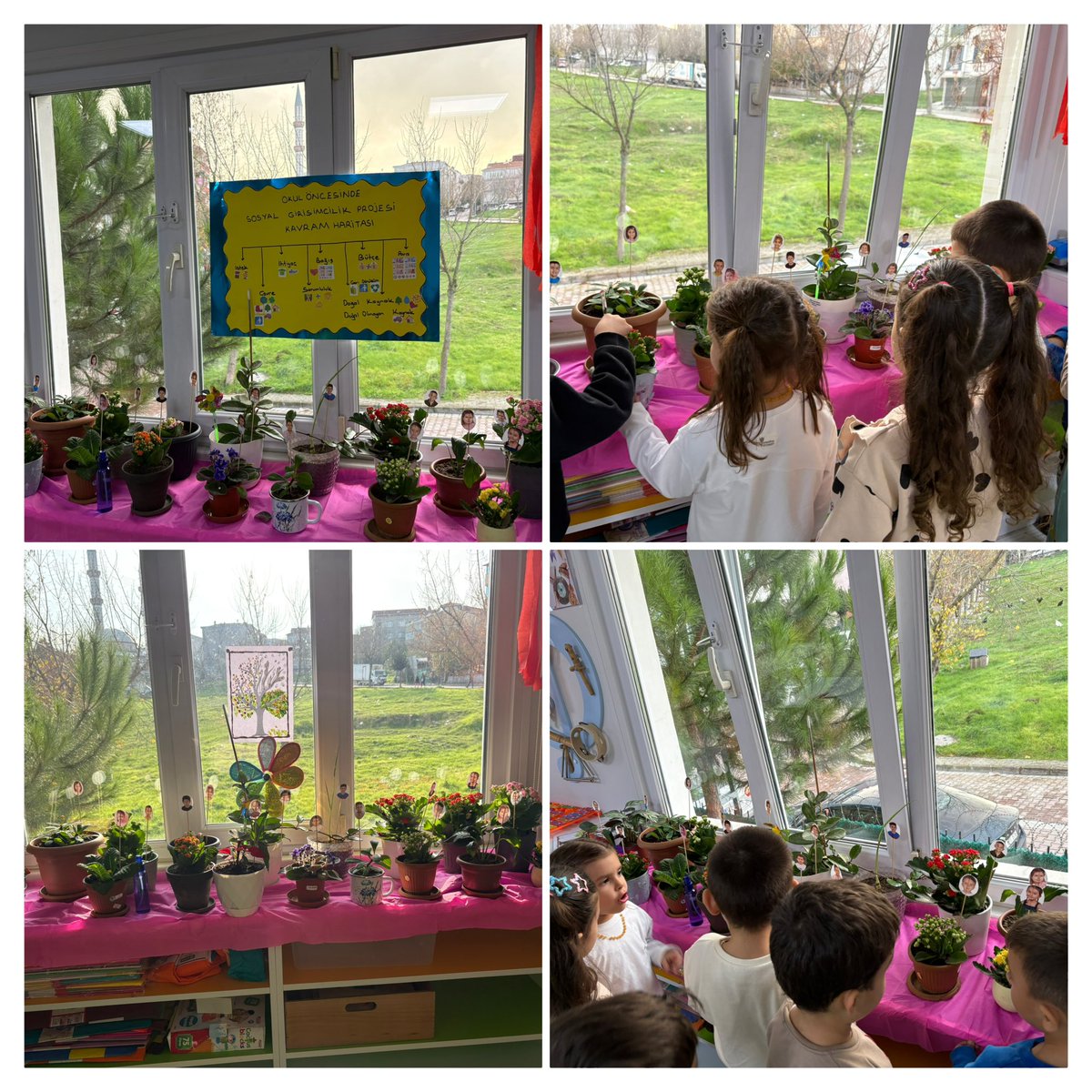 Okul Öncesinde Sosyal Grişimcilik Projesi kapsamında;
✨ proje kavram haritası oluşturuldu. 
✨ istek ve ihtiyaçlarımız belirlendi.
✨ çocuklar bağış yapamak istediği kuruluşu seçti.
✨ her bir çocuk sınıfa bir bitki getirerek sorumlulugunu almaya gönüllü oldu.
<a href="/Avcilarilcemem/">Avcılar İlçe Millî Eğitim Müdürlüğü</a>