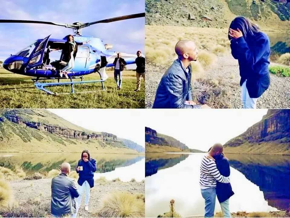 George T. Diano tweet media