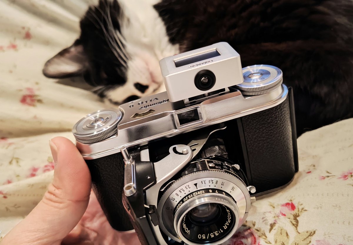 Voigtlander に露出計装備！ 早く撮影したいな〜📸 #ドイツ製カメラ