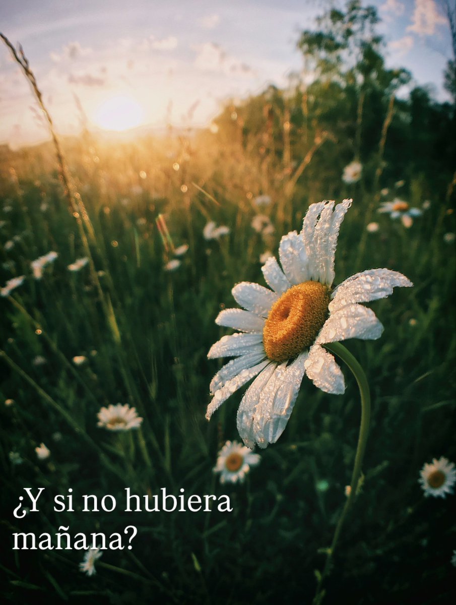 miguel angel ebro (@miguelangelebro) on Twitter photo 