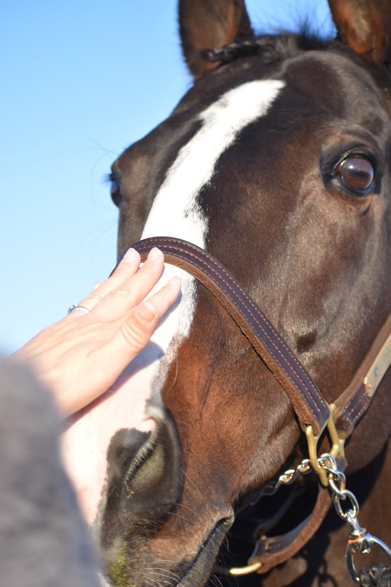 kissing_mary's tweet photo. とりあえず、毎度のことながらオールド・フレンズ・ジャパンさんのファンサが神すぎて、カメラ設定追いつかず、こんな感じのどアップのダンちゃん写真がいっぱい😂
#ダンビュライト #OFJ https://t.co/64T7WTqvzU