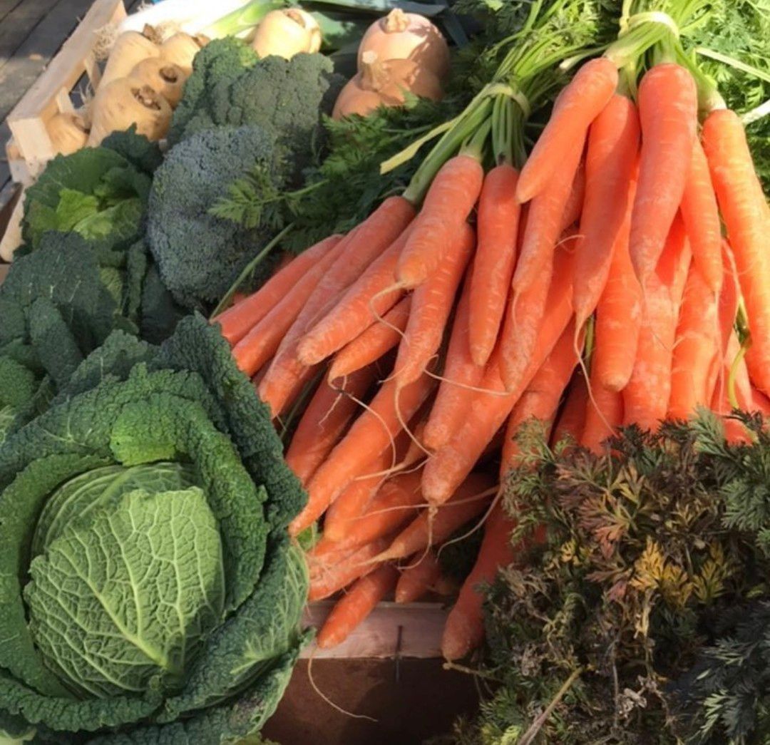 Crystal Palace Park Market tweet media