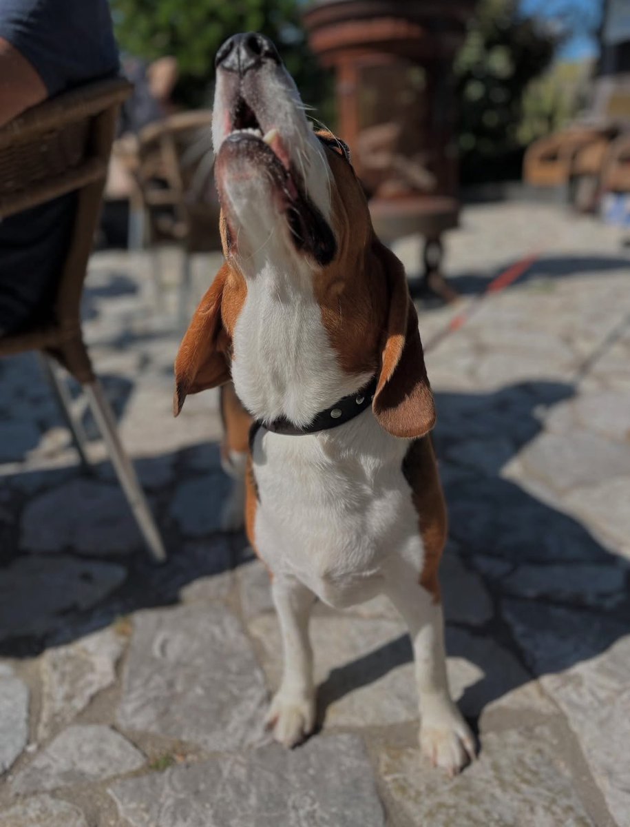 ⏰ WAKKER WORDEN | De Waddenherberg is vandaag open tot 18:00 uur!