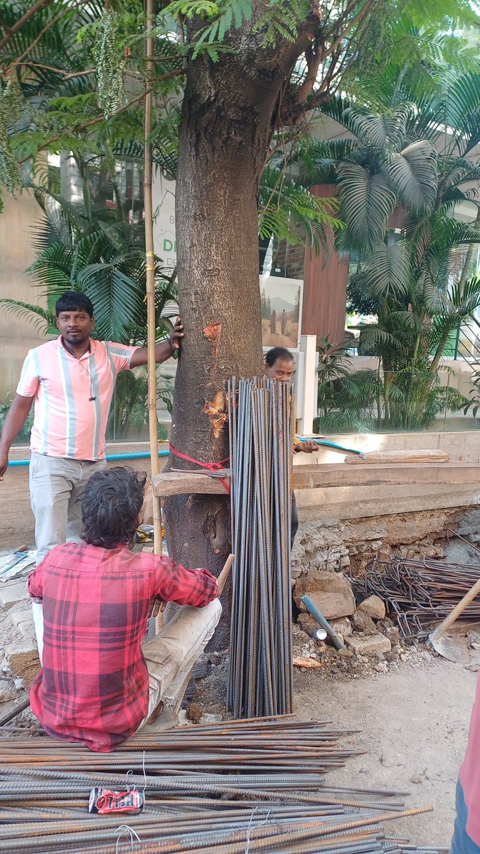 Absabhi48's tweet photo. Another site: Opp Vodafone Gallery, Subhash road are choking trees, injuring them. All these are old heritage trees and contractors are not bothered to look at it. @mybmcWardKE @mybmc @parag_alavani @AbhijitSamant9 @Dev_Fadnavis https://t.co/oJDd1iON9e