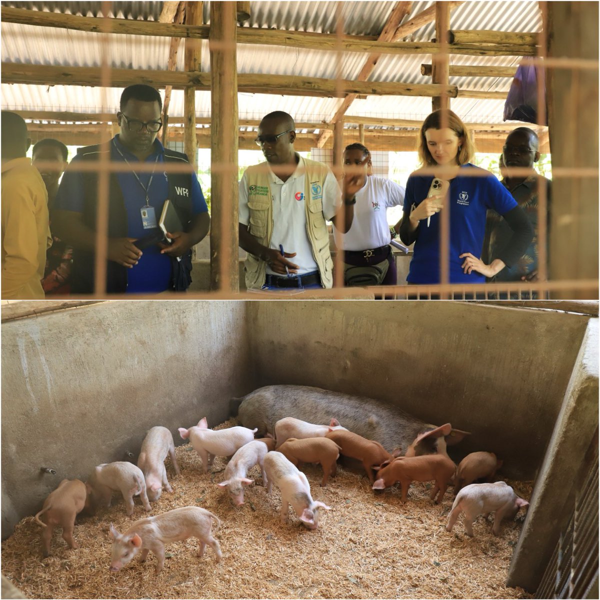 Hunger Fighters Uganda tweet media