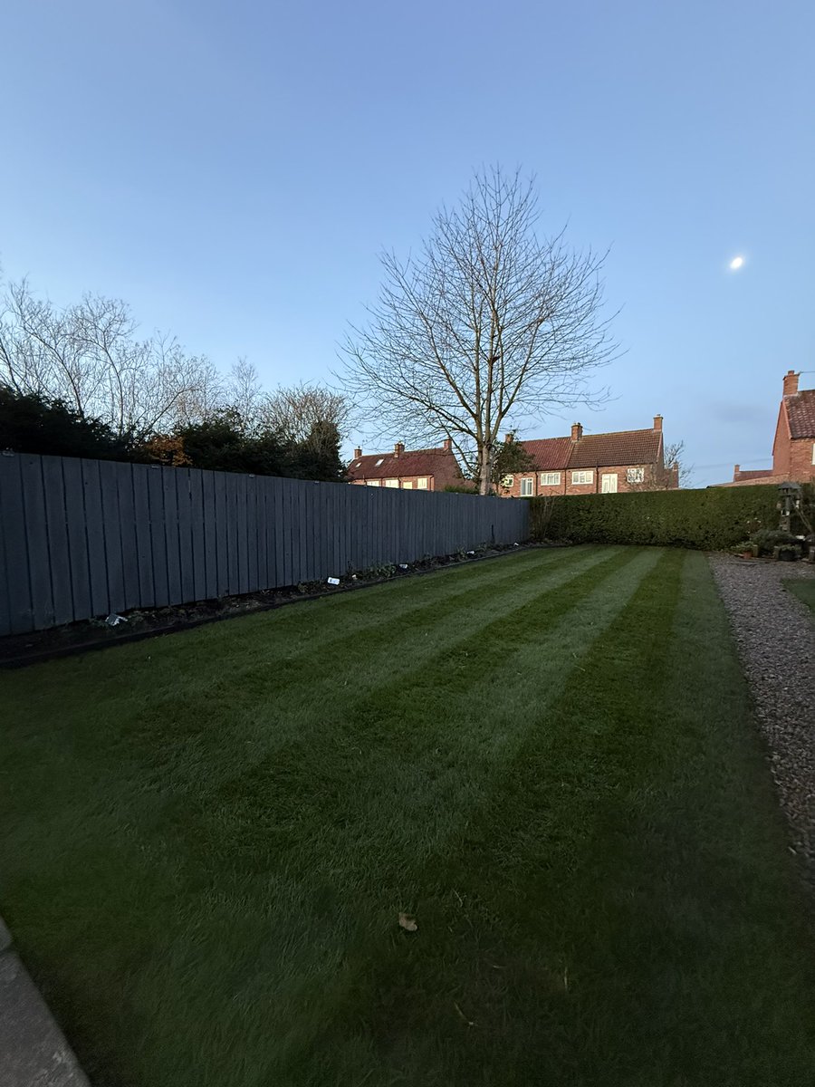 LMNorthYorks's tweet image. A simple process… brush 🧹 #stripes 🌱