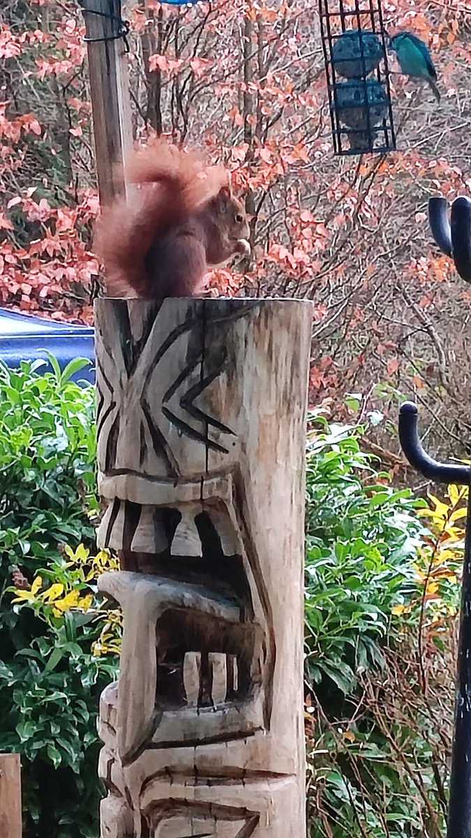 Einer meiner vielen Freunde 😊