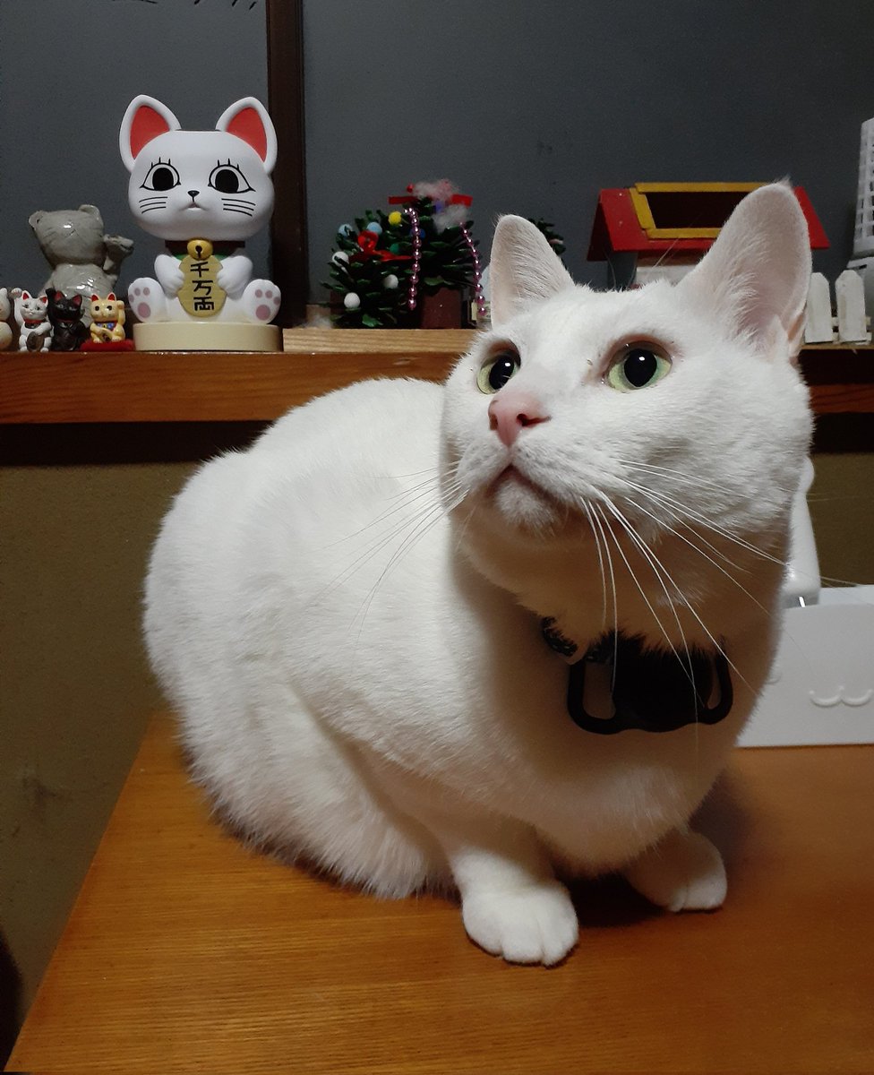 はるるん (@RNPrJ9xfX3PSoaA) / Posts / X