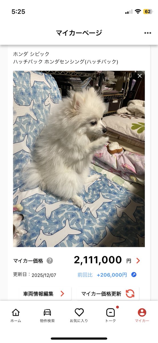 ぶぅ様 ゅぅƾゃむ🐾 (@Yuki_kaze523) on X