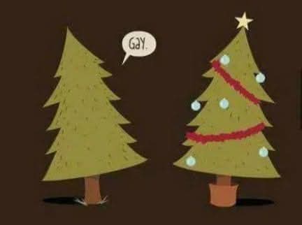 Les fêtes de fin d'année arrivent. 
🏳️‍🌈🏳️‍⚧️✨️
Courage à celleux dont la vie et les amours ne seront pas les bienvenues sous le sapin.
Courage à celleux qui n'ont plus de famille.