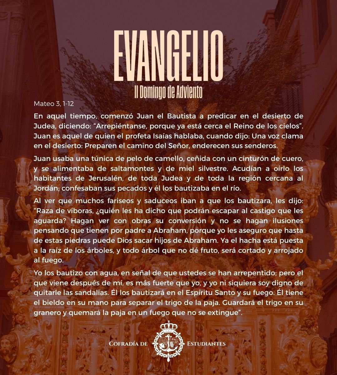 EVANGELIO|

Mateo 3, 1-12: “Arrepiéntanse, porque ya está cerca el Reino de los cielos"

#MareaVerde #Evangelio