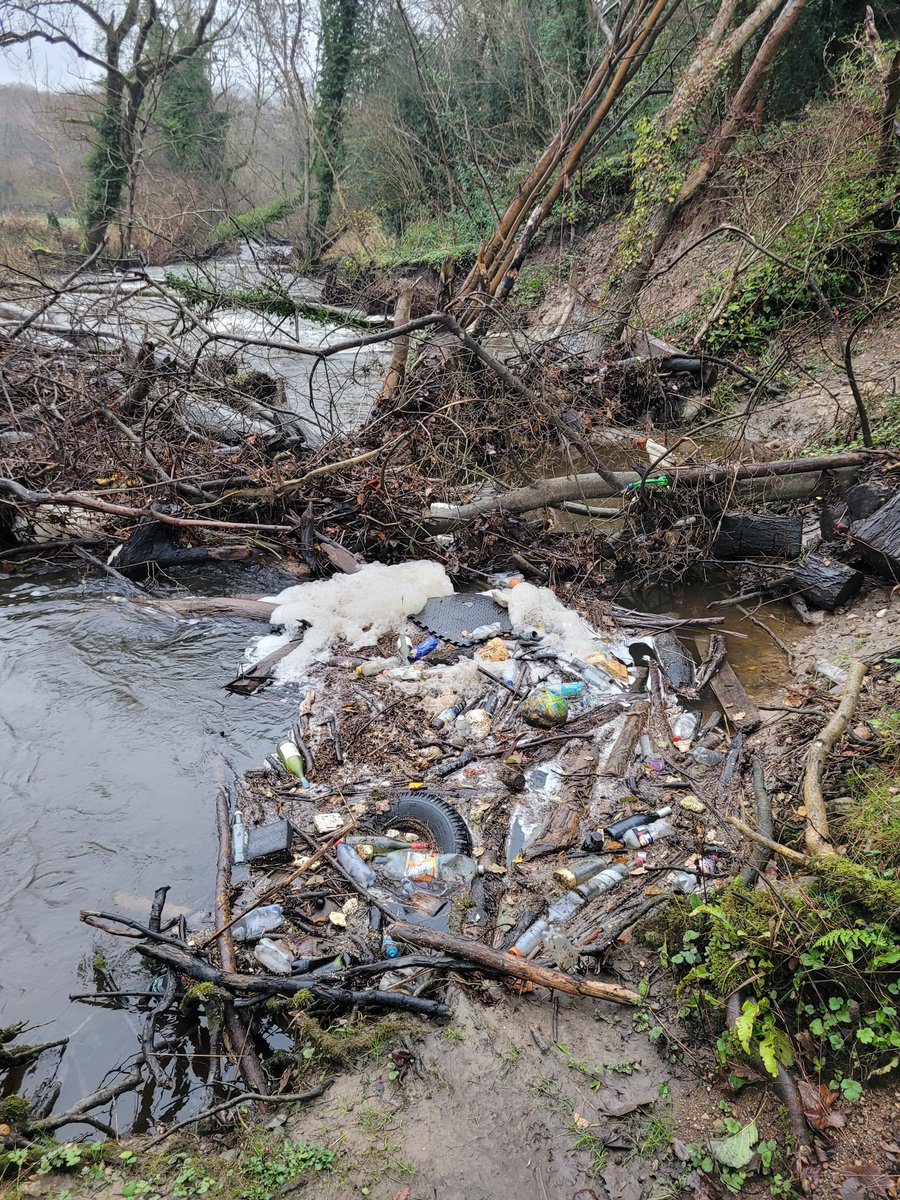 Wrexham Litter Pickers tweet media