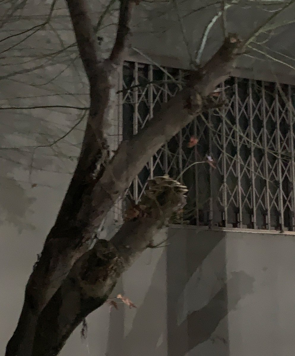 버려진 인생 살리는법 | TikTok, image size:994x1200