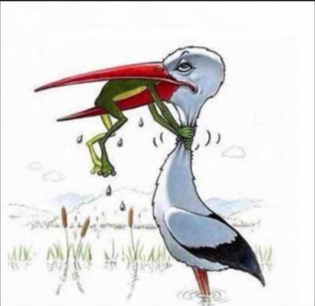 🦅Diamond King🐆 tweet media