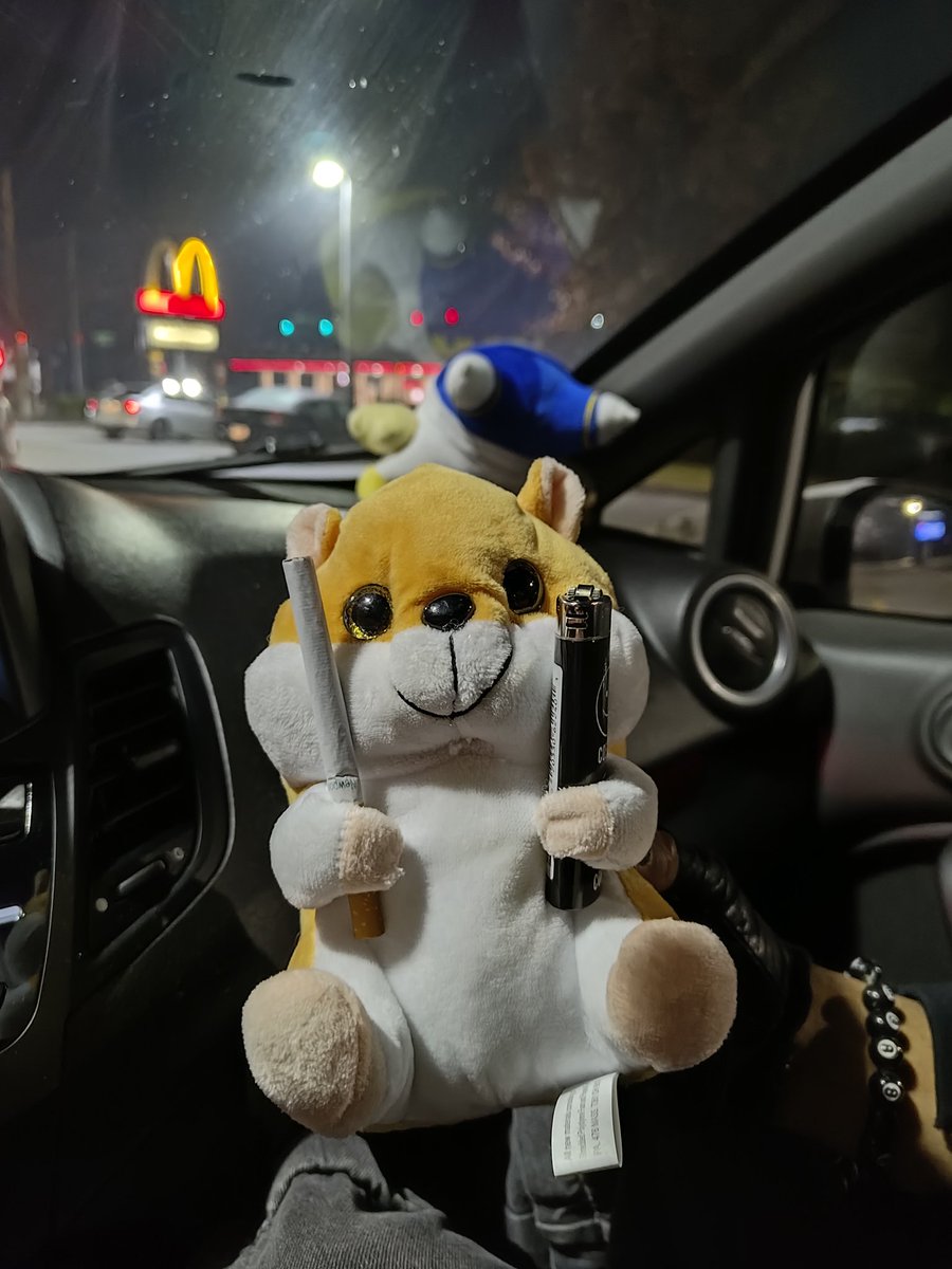 Bean🌱🔜 FWA tweet media