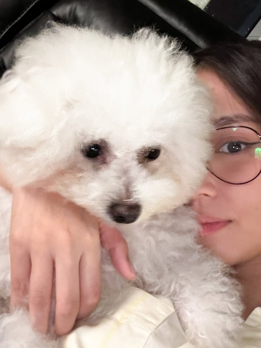 KBforever0326's tweet photo. ©️ bernardokath IG

"For my little Snow, I trust only #NUTRICHUNKS 💙 Perfect for small breeds with tiny teeth and tummy. Easy to chew, easy to digest, and shows my “love in every meal.” 🐶" https://t.co/Q5SSwksoMg