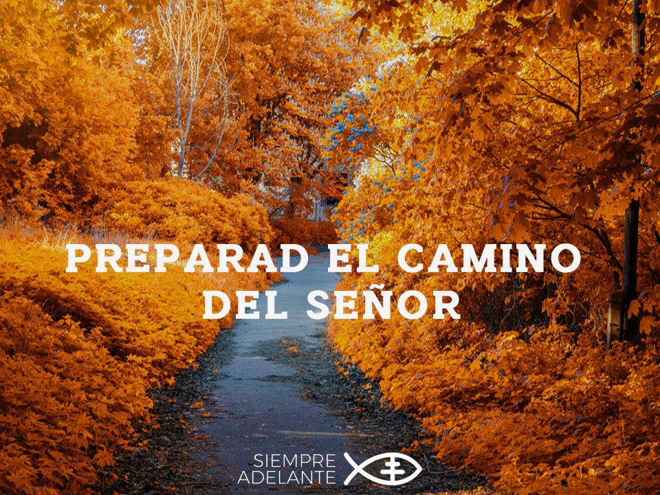 #EvangelioDelDía II DOMINGO DE ADVIENTO. Mt 3, 1-12. “Convertíos, porque está cerca el reino de los cielos”.