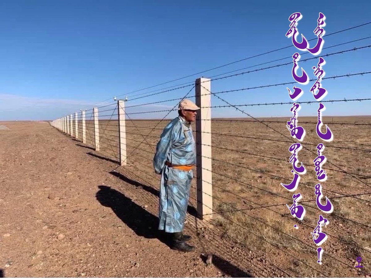 鉄線で引き裂かれた南北モンゴル。ヤルタ協定の秘密条項。南側は中国人民に環境が破壊されて草もない。鉄線を超えて羨ましい北側は草も多いモンゴル国。
かつては日本人も大勢いた草原。