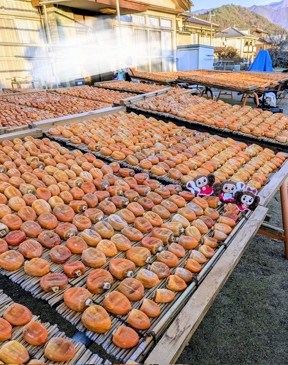 ♡チェブラーシカ♡です✩.*˚ チェブラーシカ・マトリョーシカ（S） 5ピース＜ブラウン＞ チェブ