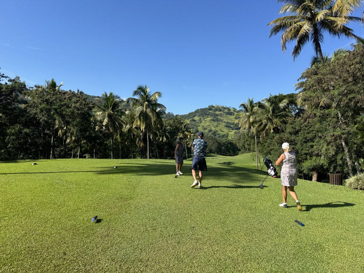 Rex Tattersall tweet media