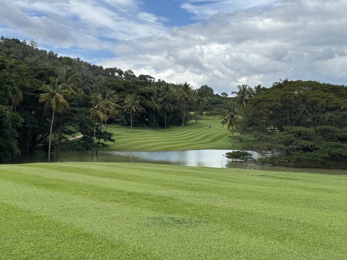 Rex Tattersall tweet media