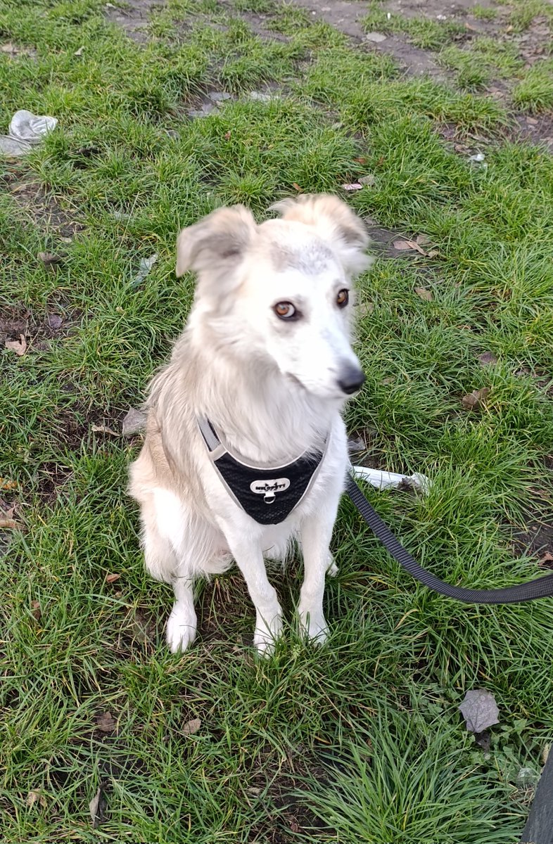 Чья булка? 
Я доем?