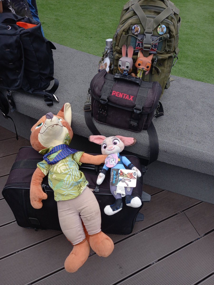 X - The Wabbit tweet media