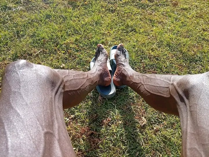 Fra_nkXBT's tweet photo. What's on your feet 🐾 ? https://t.co/iwauj7nffE