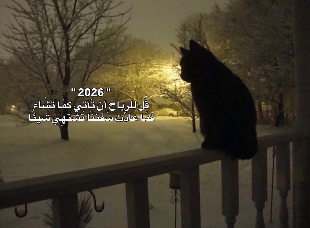 sz_vc7's tweet photo. https://t.co/XjDLcQPV7Q