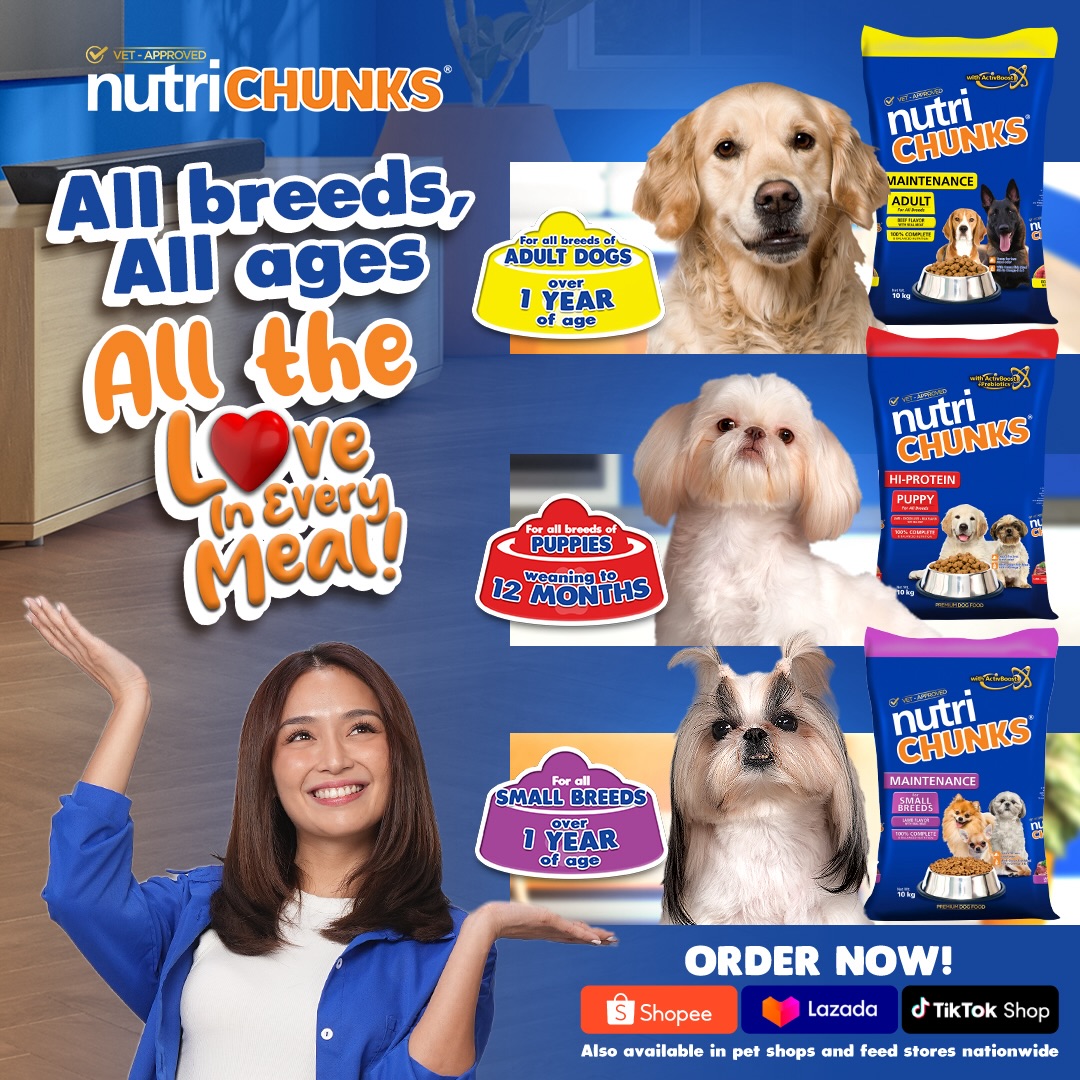 KBforever0326's tweet photo. ©️ bernardokath IG

"For my little Snow, I trust only #NUTRICHUNKS 💙 Perfect for small breeds with tiny teeth and tummy. Easy to chew, easy to digest, and shows my “love in every meal.” 🐶" https://t.co/wVge5cetd1