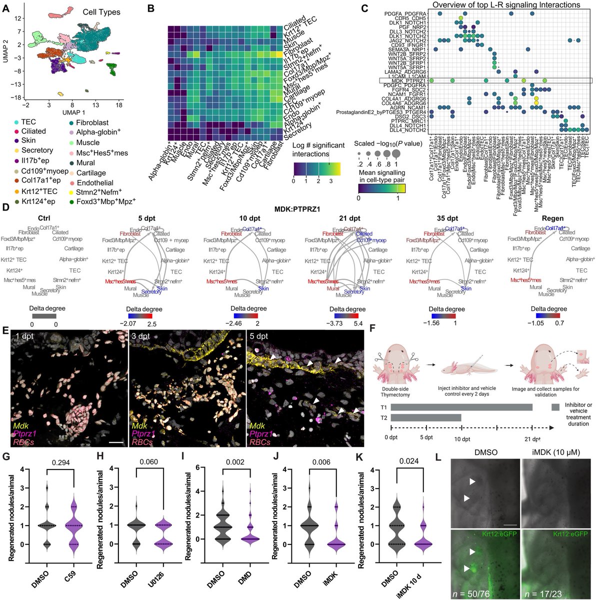 TheYunLab tweet media