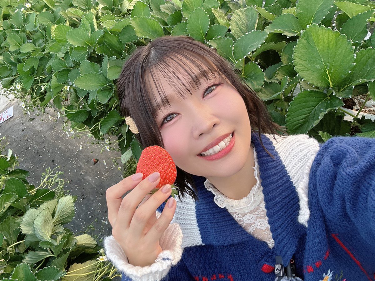 Shurism in Gunma ~Strawberry smiles and castle dreams~ 】にご参加