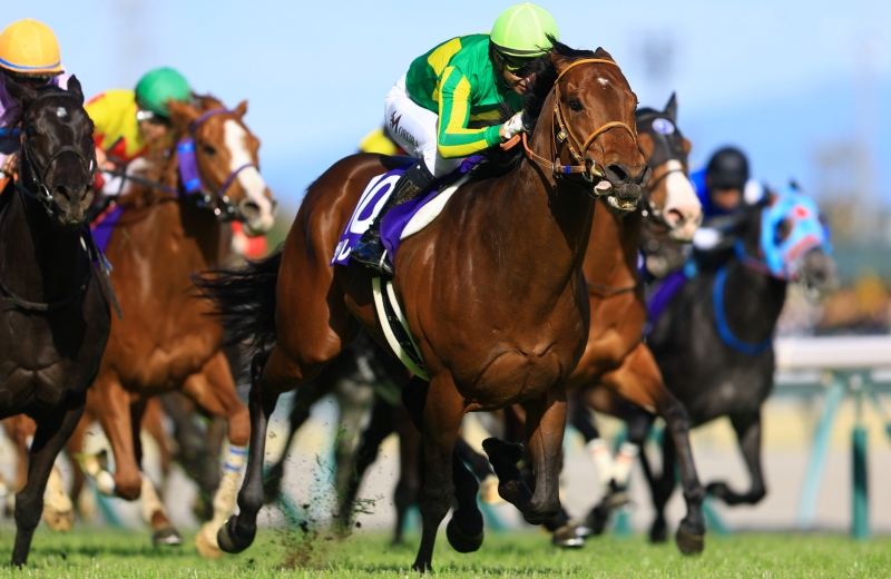 香港国際競走】4レースの出走予定馬を公開しました！ ・香港ヴァーズ