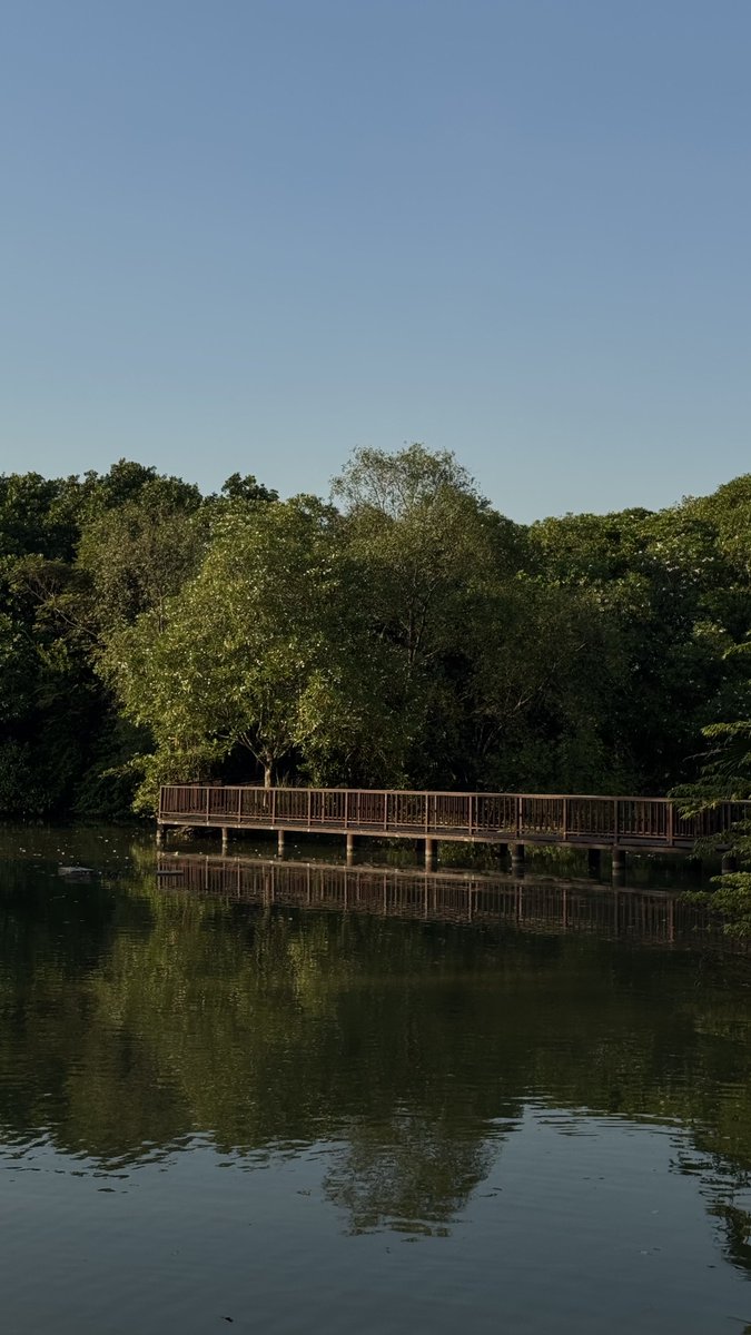 ยืนยันว่า "บางกระเจ้า" มาแล้วไม่ผิดหวังเลยอ่ะเหมือนมาเที่ยวป่าในกรุงคือไม่เกินจริง activity เยอะ อากาศดีมาก มองไปทางไหนก็มีแต่พื้นที่สีเขียว อยู่ตั้งแต่เช้า-เย็นคือไม่เบื่อเลย mood ดีมาก ควรถูกค้นพบเยอะๆจริงๆนะ