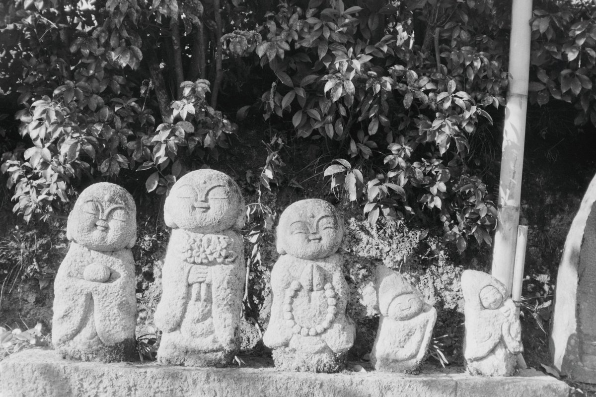 norikazu_inoue's tweet photo. 嵐山散歩_4523。
ISO100に減感。
SPD 1:1 20℃ 5分。
#kyoto
#arashiyama
#フイルム写真
#リコーエルニカf
#マリックス200
#ei100 https://t.co/xsCy4GhcDB