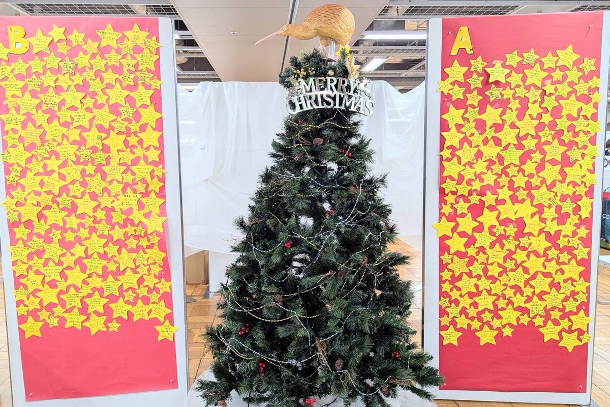 すべてのオーナメントが旅立って
沢山の暖かいメッセージを頂きました🎄

#博物クリスマス
#博物ツリー