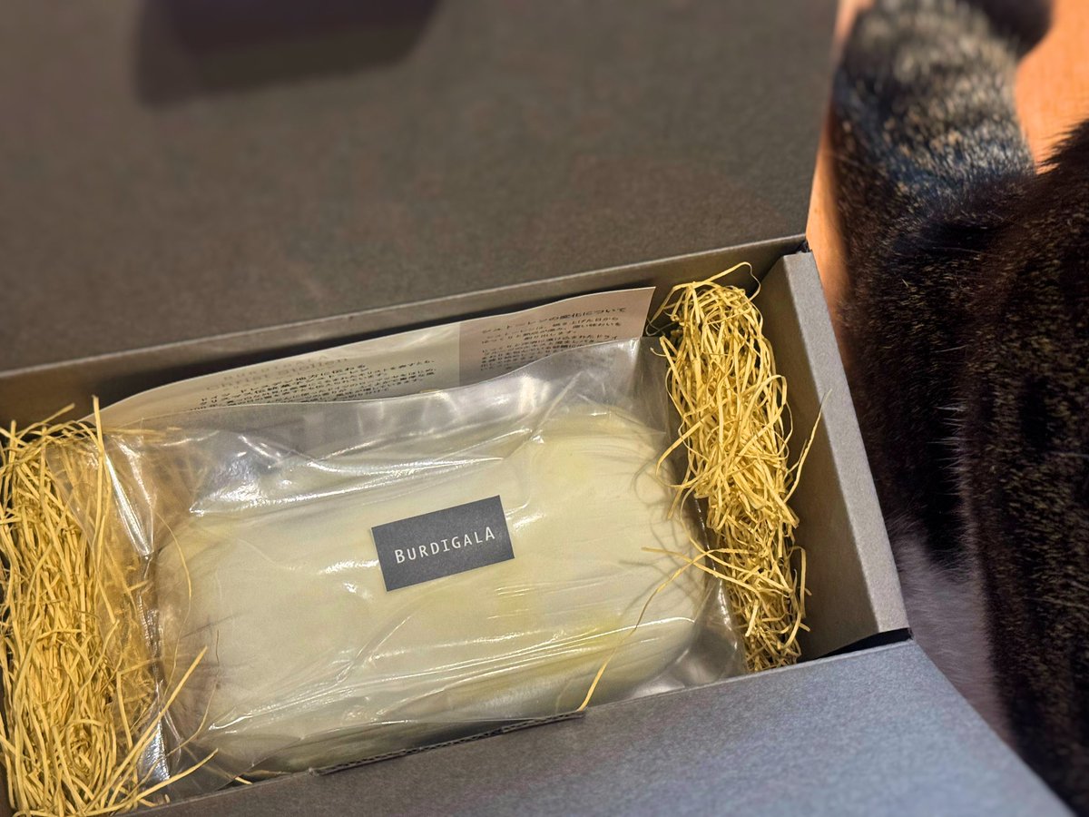 Yuuna❂Ridill 雪。 tweet media