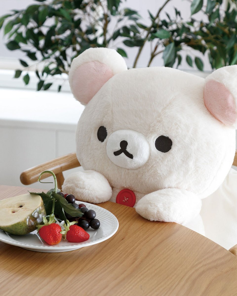 🚨本日受注〆切🚨 サンエックスネットショップ限定のコリラックマ