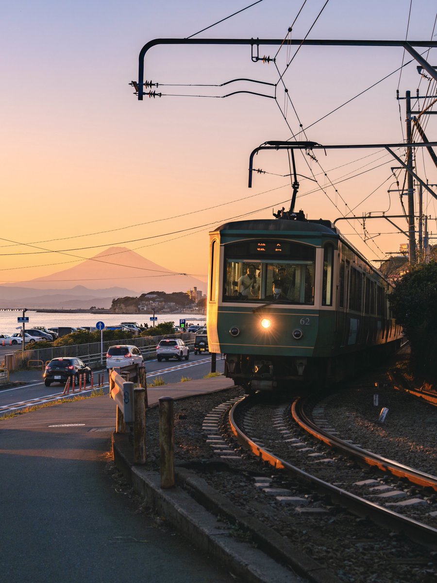 𝚋𝚒𝚛𝚍 tweet media