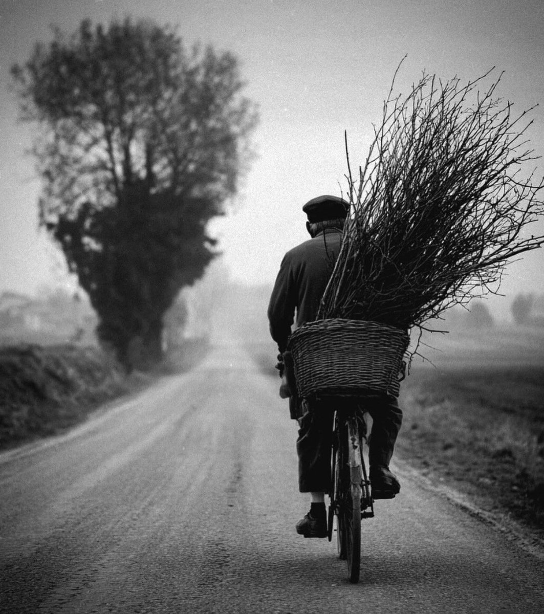 “iki kopma biçimi;

   birinin nedeni uzaklık, 
   diğeri fazla yakınlık…”
   .