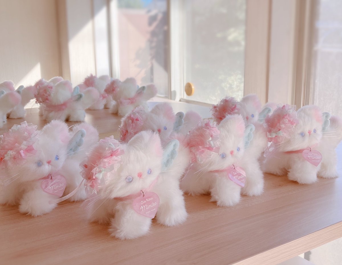 kyancy house キャンシーハウス (@kyancyhouse) / Posts / X