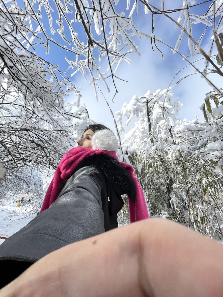 Joey @Gate tweet media