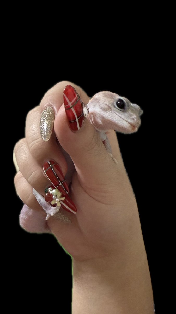 Yeh （永久停更 tweet media