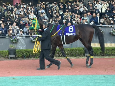 Mukoyama@キタサンブラック産駒応援アカウント (@Kitasanblacksan