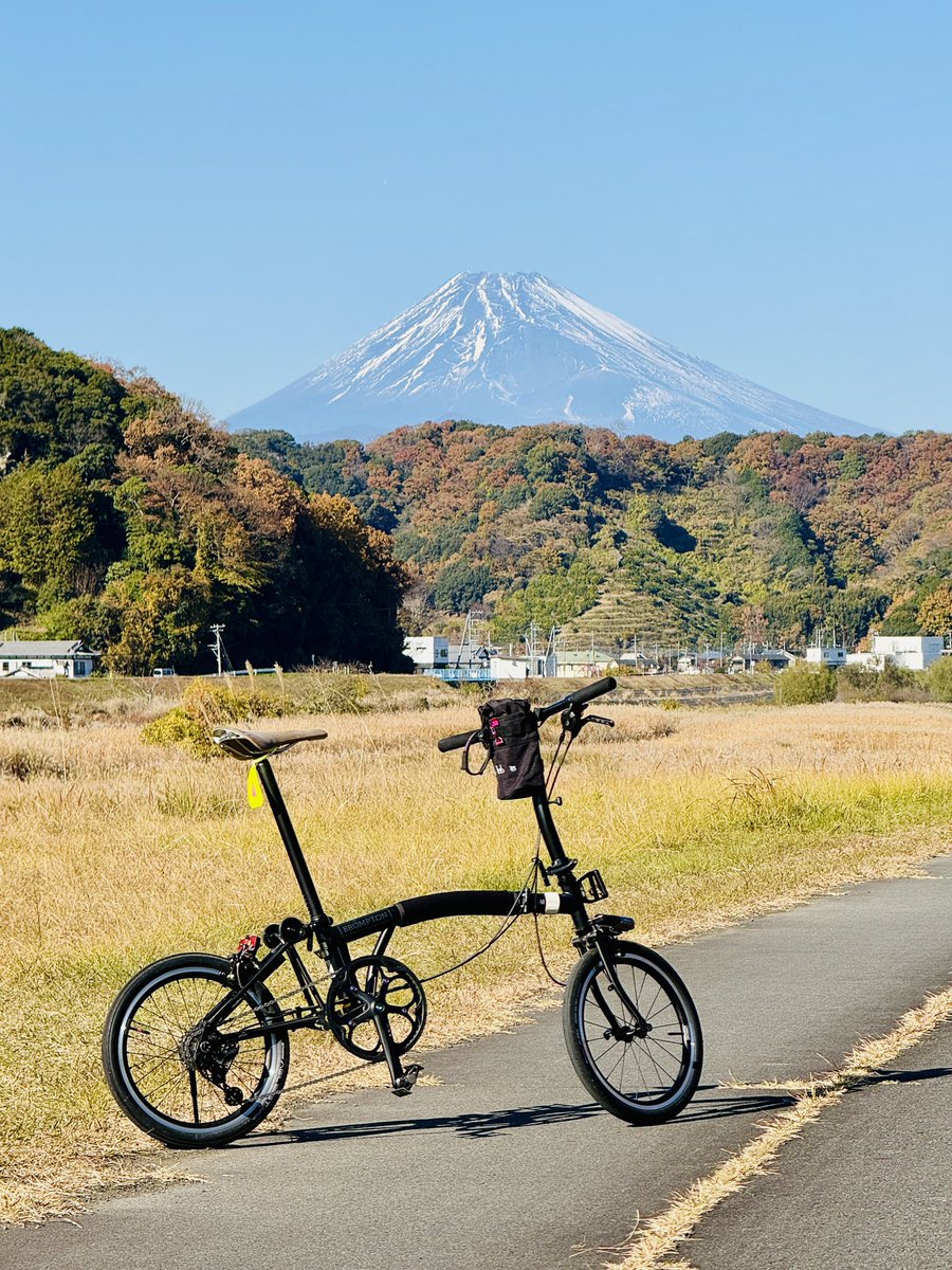 🚲Oy🚲 tweet media