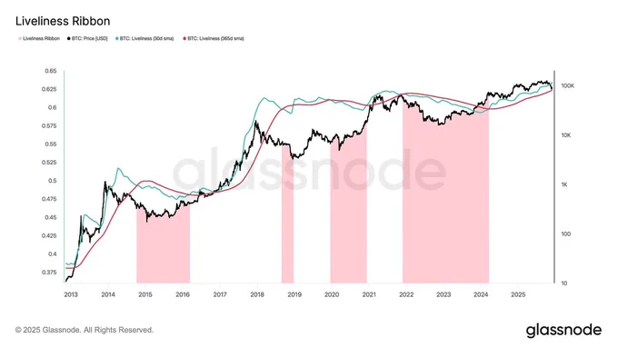 🚨Bureau : "Bitcoin: Il parametro di vitalità raggiunge nuovi picchi, il mercato rialzista potrebbe continuare"