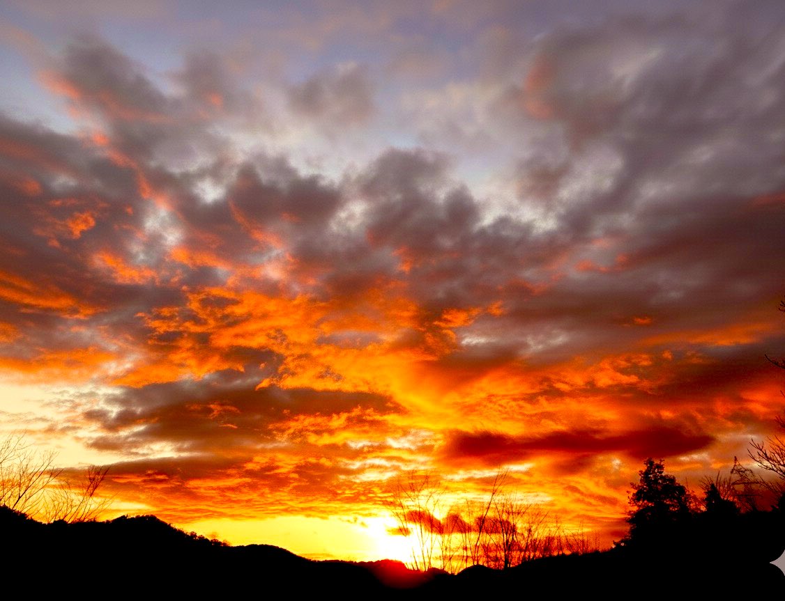 流れ星 (@ch_nagareboshi) / Posts / X